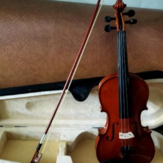 Paket Biola Full Solidwood Peganini Recomended