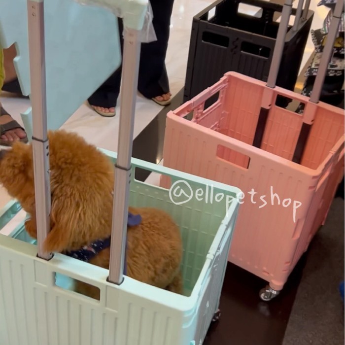BOX 65L TROLI Original'6 Troli / Anjing Besar 65 / Troli Lipat Barang