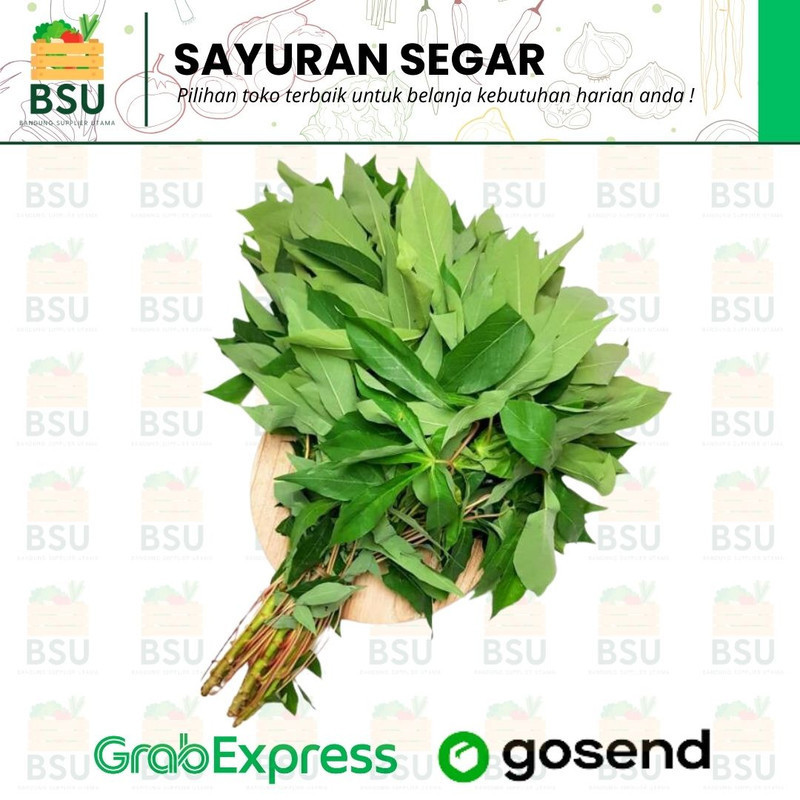 

Sayuran Segar Bandung - Daun Singkong 1 Ikat