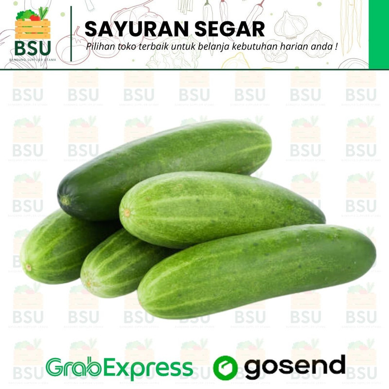 

Sayuran Segar Bandung - Timun Lokal 500 gram