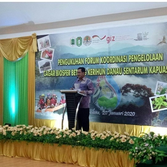 Hiasan Taman Panggung Dekorasi Taman Panggung Hiasan Bunga Asli Lampu