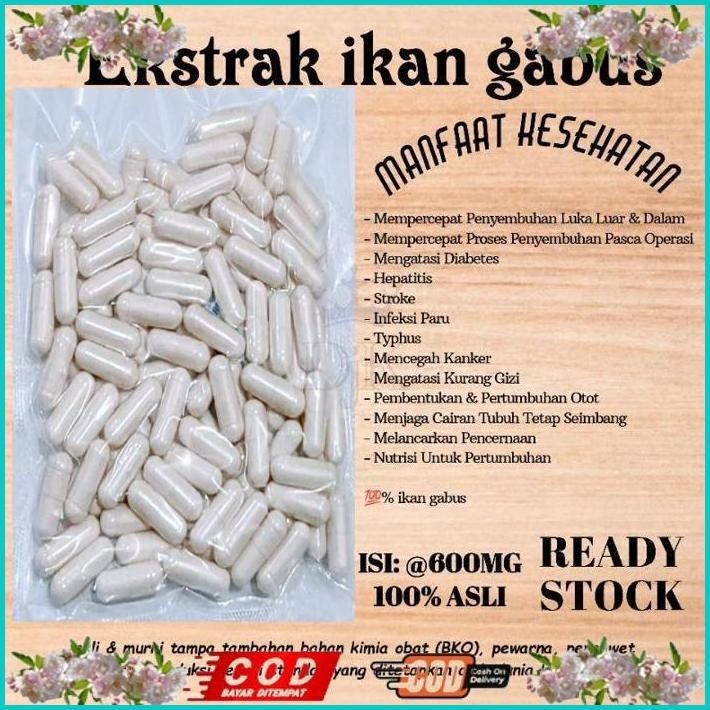 

BISMILLAH EXTRAK IKAN GABUS 1KG | KAPSUL GABUS 1000KAPSUL CURAH ALISUP
