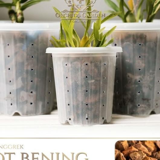 Pl Pot Anggrek Transparan Akar Sehat Pot Lubang Pinggir Pot Plastik 15