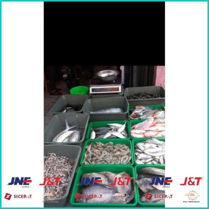 

BISMILLAH IKAN GABUS SEGAR 1KG (BUKAN FROZEN) FREE DIBERSIHKAN GRATIS MINYAK GORENG 1LITER ALISUP