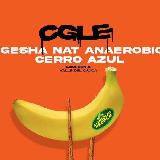 

Biji Kopi Arabika - Cgle Gesha Nat Anaerobic Cerro Azul - 100 Gr