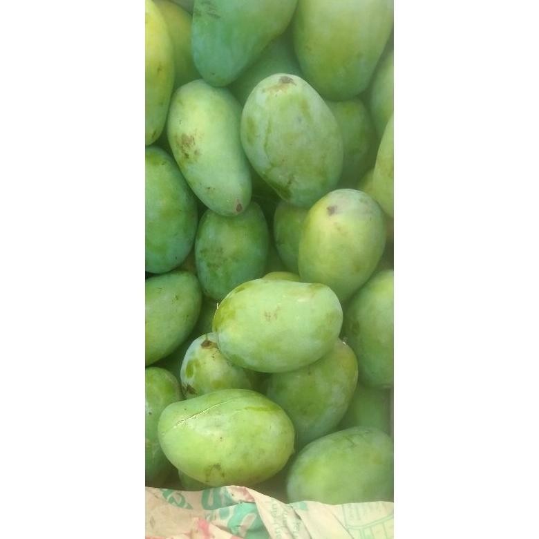 

As23 Buah Mangga Gadung Sale