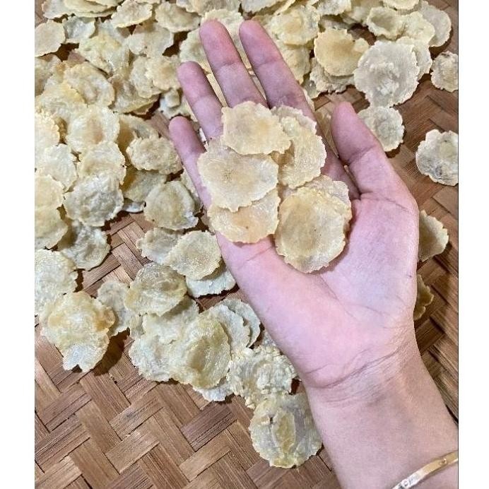 

gj-46 TERLARIS!!! 100% EMPING MELINJO ASLI MENTAH ukuran koin/1 biji melinjo (EMPING DOLAR) Murah