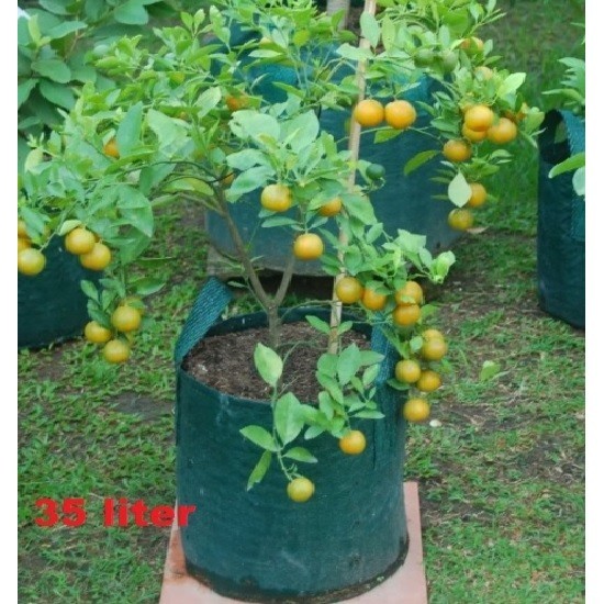 #####] Planter Bag 35Liter