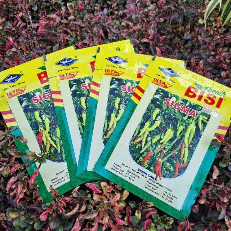 

Benih Bibit Cabai Sigma 10gr - Benih Cabai Rawit Cap Kapal Terbang(Bisi)