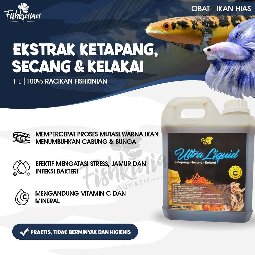 

Buruan Ultra Liquid - Ekstrak Secang, Kelakai, Ketapang - 1 Liter Great Sell