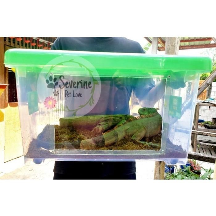KANDANG TERRARIUM IGUANA | KANDANG IGUANA | KONTAINER CONTAINER BOX