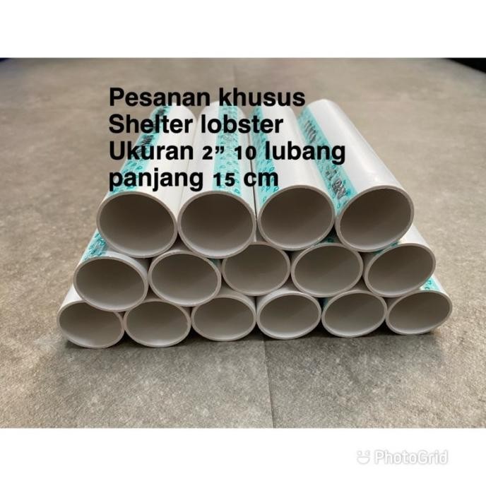 Terbaru Pipa Udang Lobster Air Tawar Pipa Shelter Lobster Terima