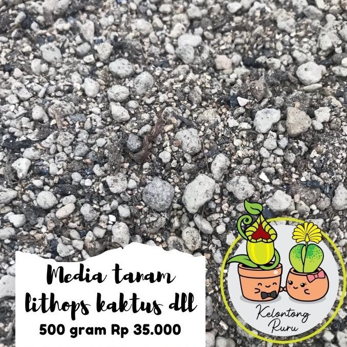 PROMO MEDIA TANAM LITHOPS, KAKTUS, SUCCULENT GRADE A 500 GRAM GARANSI