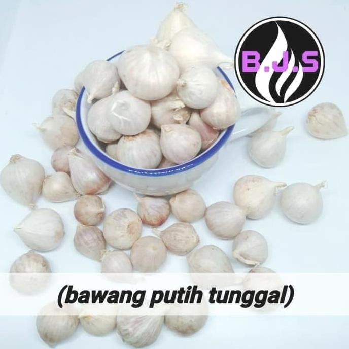 

Bawang Putih Tunggal/Lanang Kecil 1Kg
