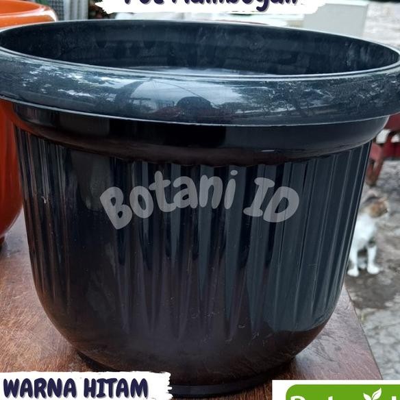 Pot Flamboyan Tanaman Hias Pot Besar Plastik Bunga Tanaman Hias 50Cm