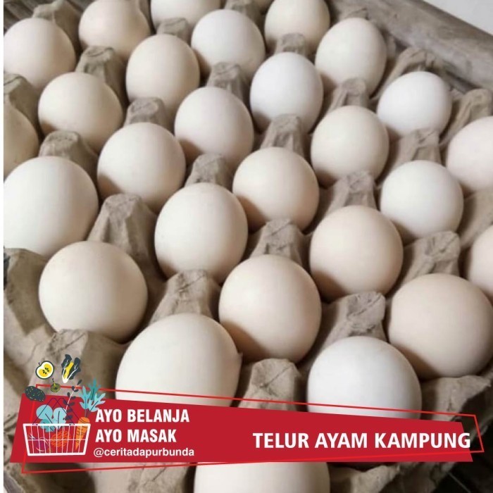 

TELUR AYAM KAMPUNG per butir