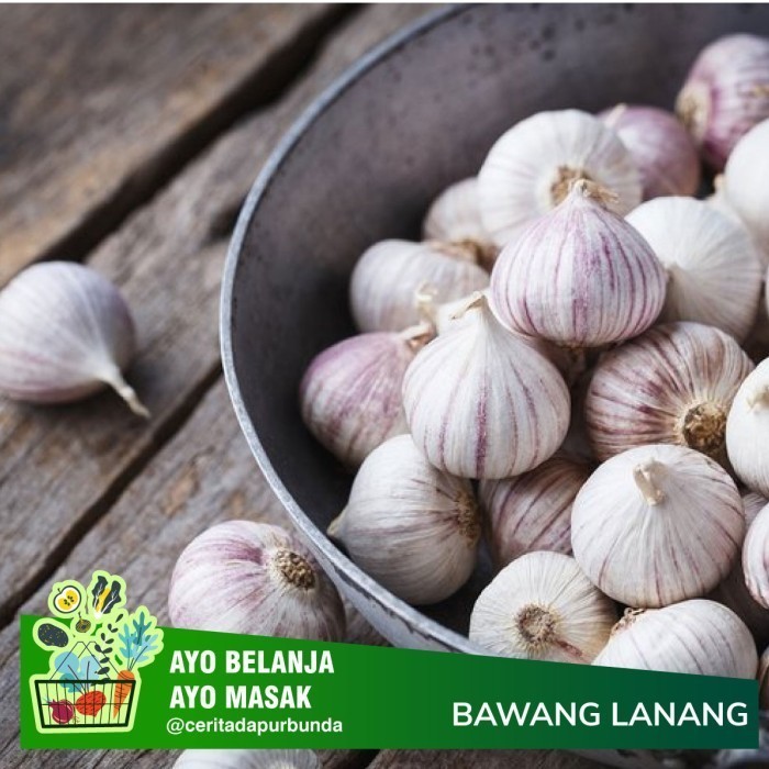 

Bawang Lanang/Tunggal/100gr