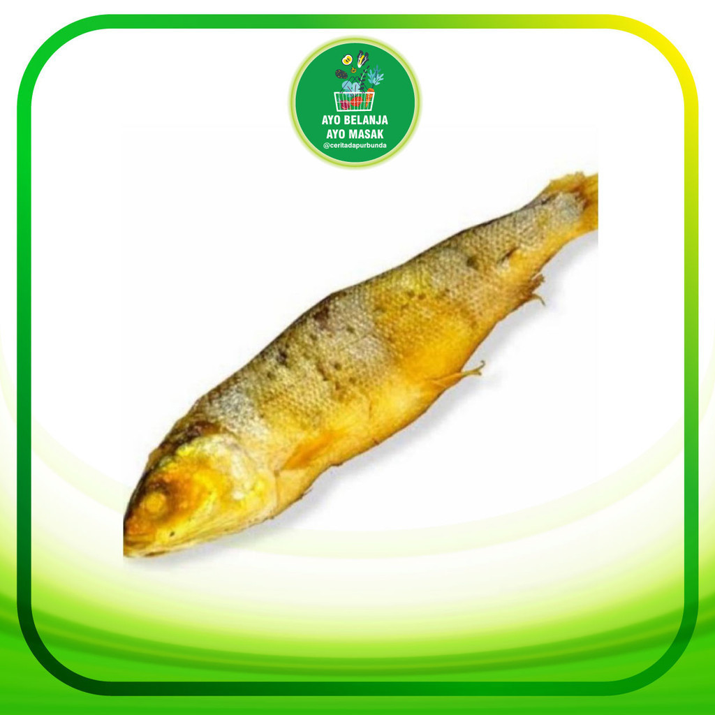 

BANDENG PRESTO per ekor - Sayur Pawon Bantul