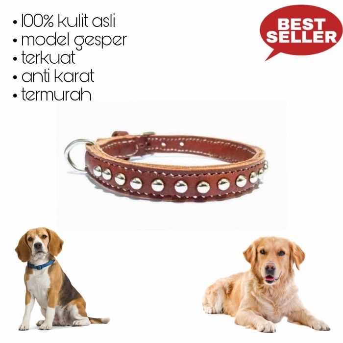 Kalung Anjing Kulit Asli