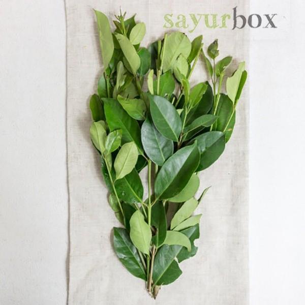 

Daun Salam Konvensional 10 gram Sayurbox