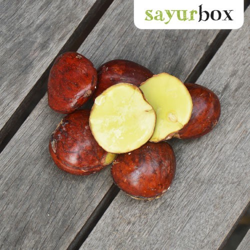 

Jengkol Konvensional 1 kg Sayurbox