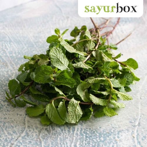 

Daun Mint Konvensional 50 gram Sayurbox