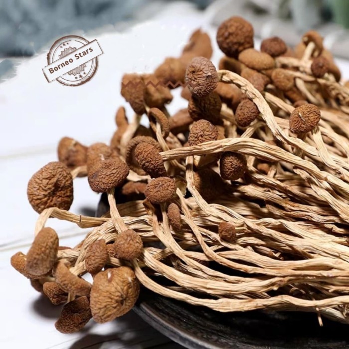 

Ready Dried Tea Tree Mushroom Jamur Chashugu 250 Gr