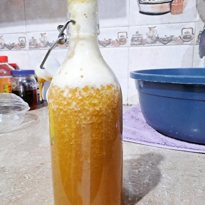 

NEW PRODUK SCOBY KOMBUCHA+100ML STARTER UNTUK PRODUKSI 1LITER TEH KOMBUCHA !!!!!