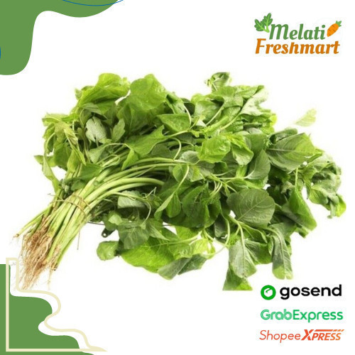

Sayur Bayam Hijau per 1 ikat Segar - Melati Freshmart