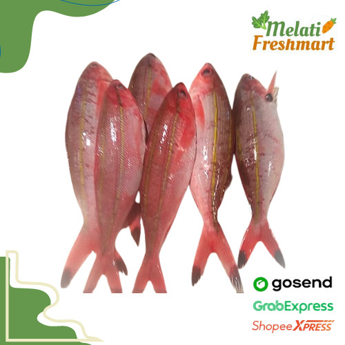 

Ikan Pisang Pisang 500 gram - Melati Freshmart