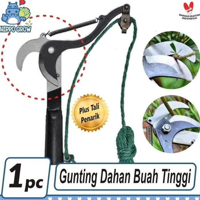 PROMO Gunting Tarik Tali Dahan Ranting Buah Tinggi Tanpa Galah Panjang