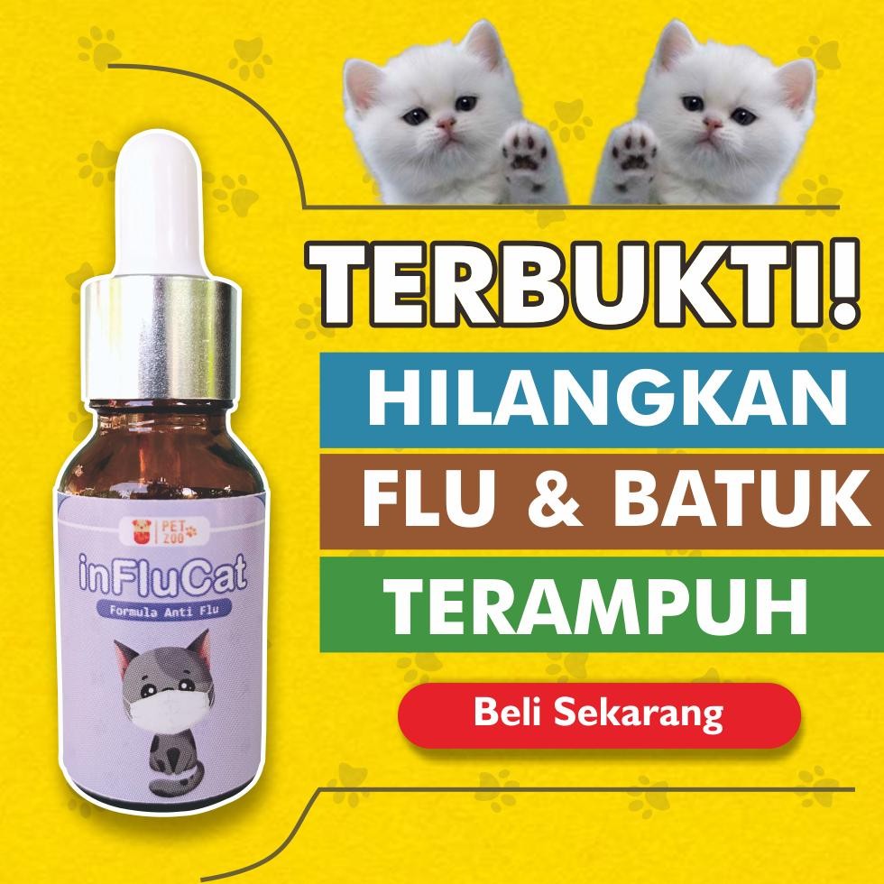 Original Obat Flu Kucing Paling Ampuh Apotik Parah Terbaik D2 Obat Pilek Kucing Bersin Dan Ingusan O