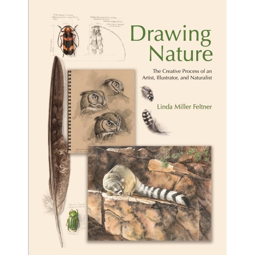

Drawing Nature - The Creative Process of an Artist, Illustrator, and Naturalist ( D )