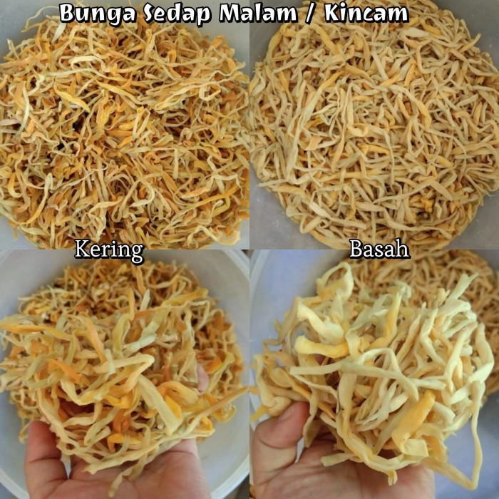 

(200G) Sayur Bunga Sedap Malam Kering / Lili Buds-Sayur Bunga Kincam