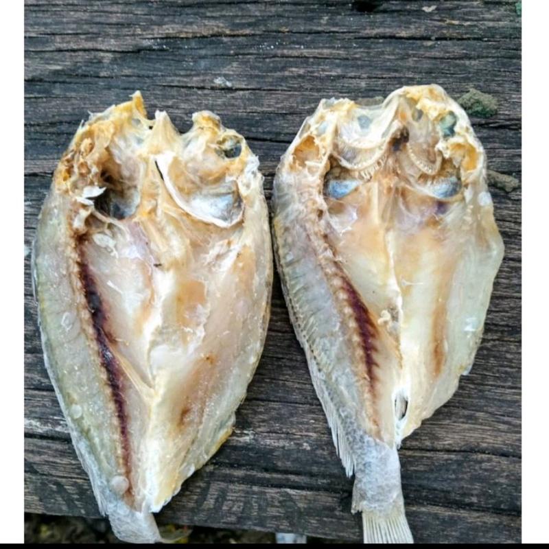 

IKAN ASIN BELAH(GOPEK)