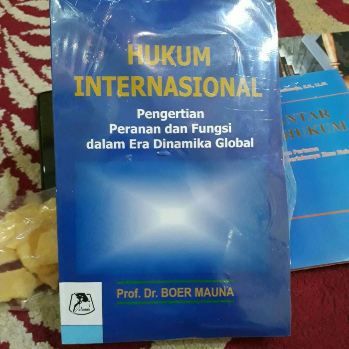 

Hukum Internasional Karangan Boer Mauna Penerbit Alumni.