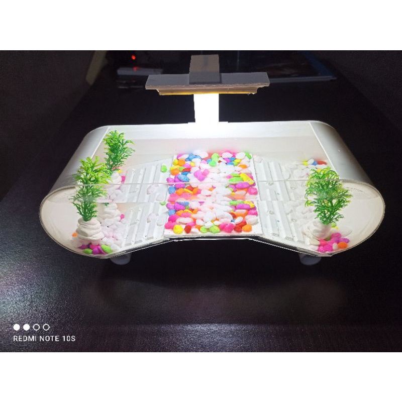 Aquarium Ni/Aquarium Kura Kura Brazil