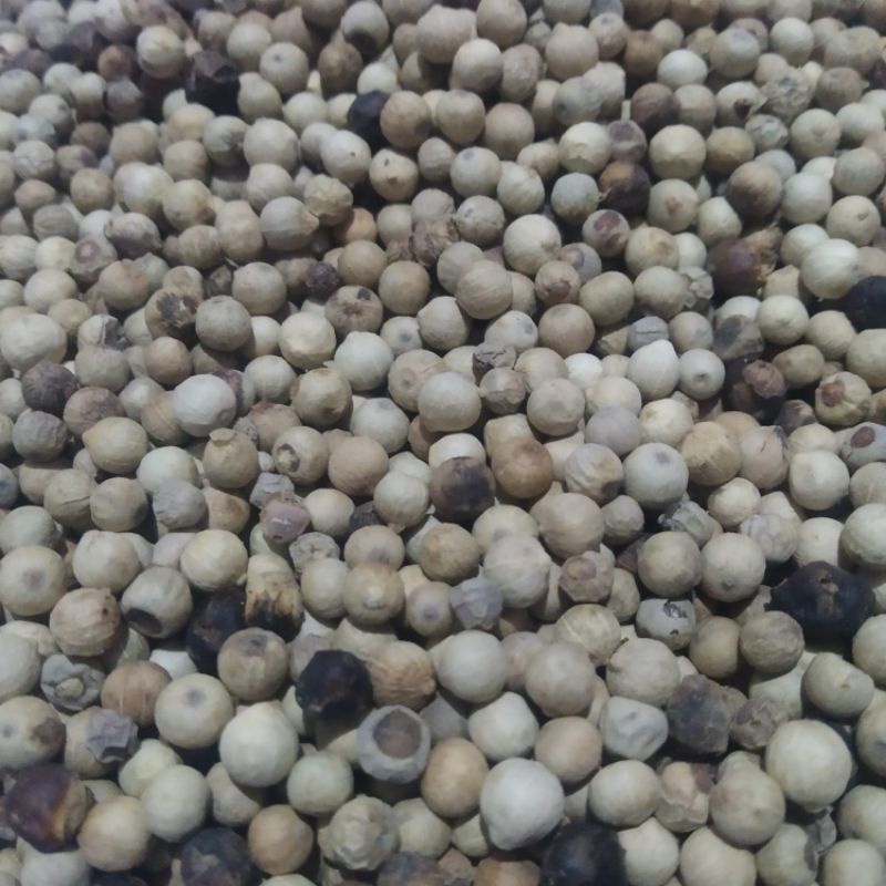 

Lada Putih Bulat 100gr