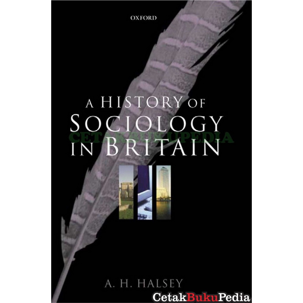 Book A History of Sociology in Britain Science Literature Society