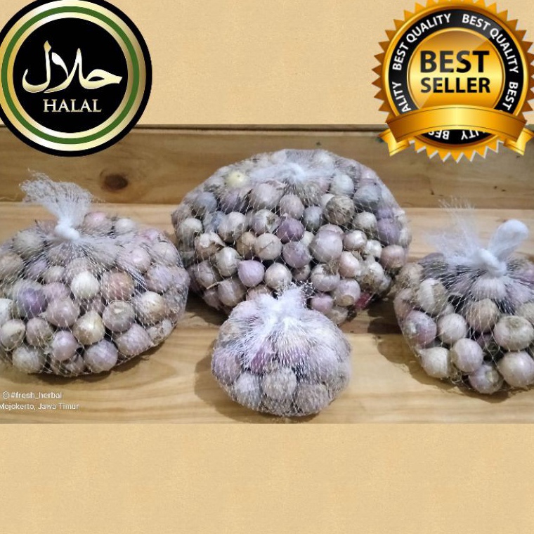 

GYNY8852 Bawang Putih Tunggal / Bawang Tunggal / Bawang Lanang 1kg Import Kualitas SUPER Ukuran Sedang