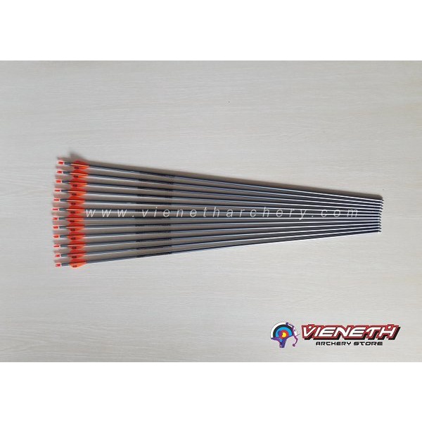 Anak Panah Easton Xx75 Platinum - Arrow Easton Xx75 Platinum 1 Lusin - Anak Panah Alumunium