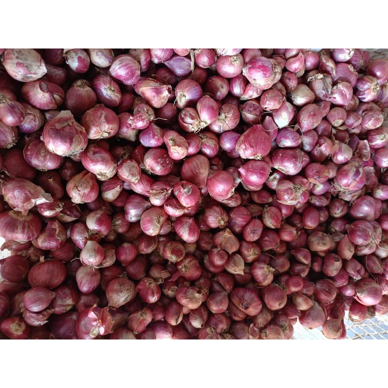 

Bawang merah 1kg
