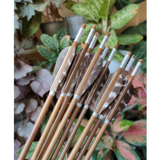 Terlaris Today Arrow Tonkin murah meriah 