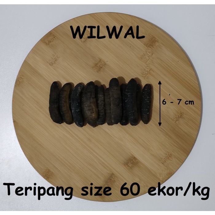 

Teripang Gosok Haisom Kering Belitung Asli Berat 125 Gram Bestseller Daging
