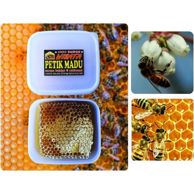 

:::::::] Madu Sarang Honey Comb Fresh Honey 250 gram