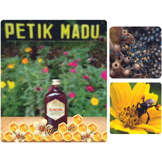 

>>>>>] Madu Klanceng 250 ml