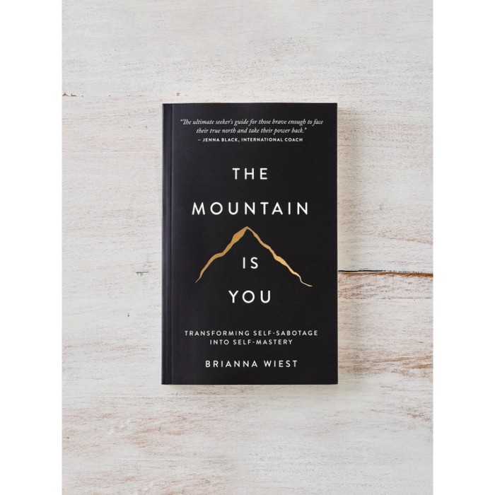 PROMO [ENGLISH] [ORIGINAL] THE MOUNTAIN IS YOU (BONUS SAMPUL PLASTIK) TERLARIS