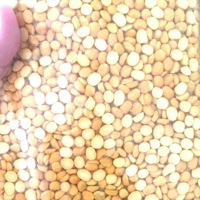 

@@@@] daal chana 500 gram nett (kacang india)