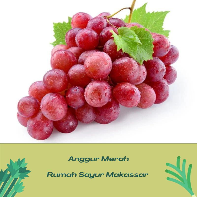 

buah anggur