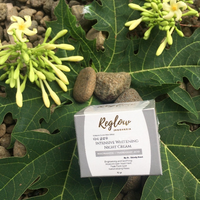 NIGHT CREAM REGLOW ORIGINAL/ KRIM MALAM REGLOW